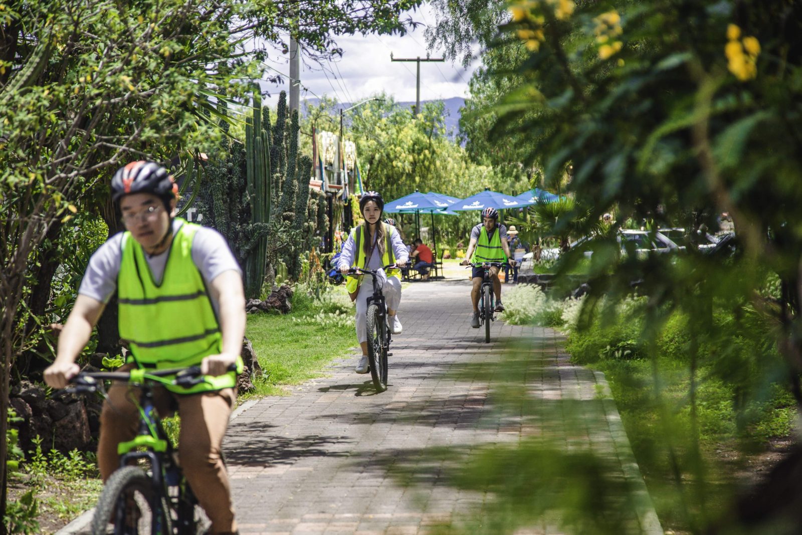 Tour en bicicleta