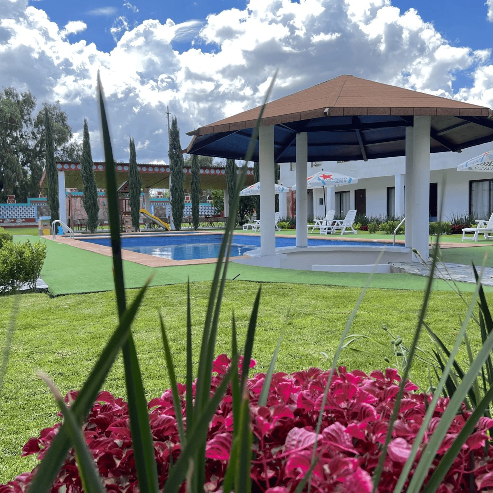 Hotel El Jaguar, piscina climatizada y jardines